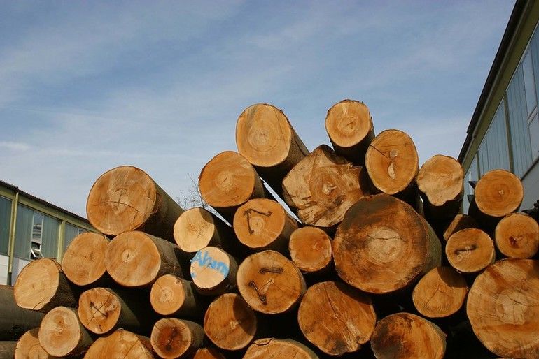 Holzindustrie: Umsatz sinkt durch Preiseffekt