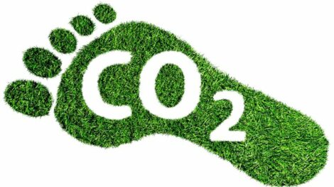 carbon_footprint_symbol_or_concept,_barefoot_footprint_made_of_lush_green_grass_with_text_CO2
