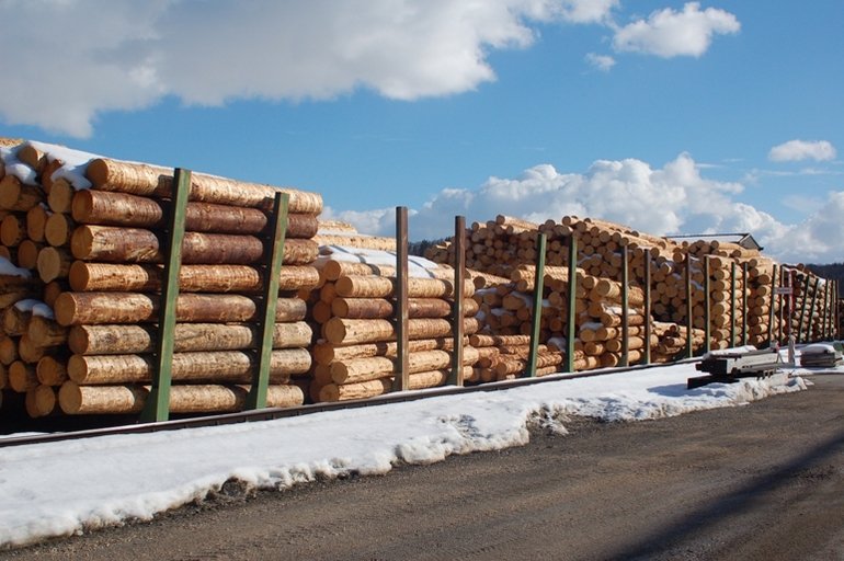 Deutsche Holzindustrie wächst um 1,7 Prozent